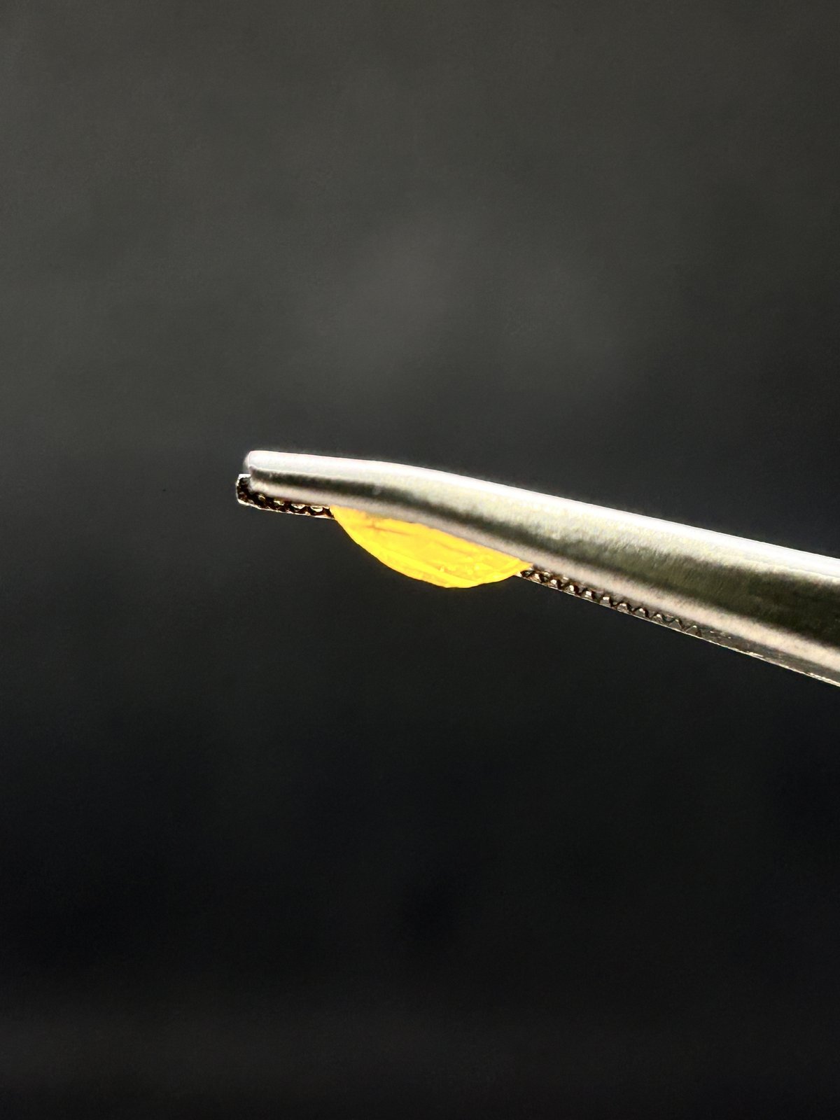 Natural Yellow Sapphire - 3.02 Carats (Bangkok)