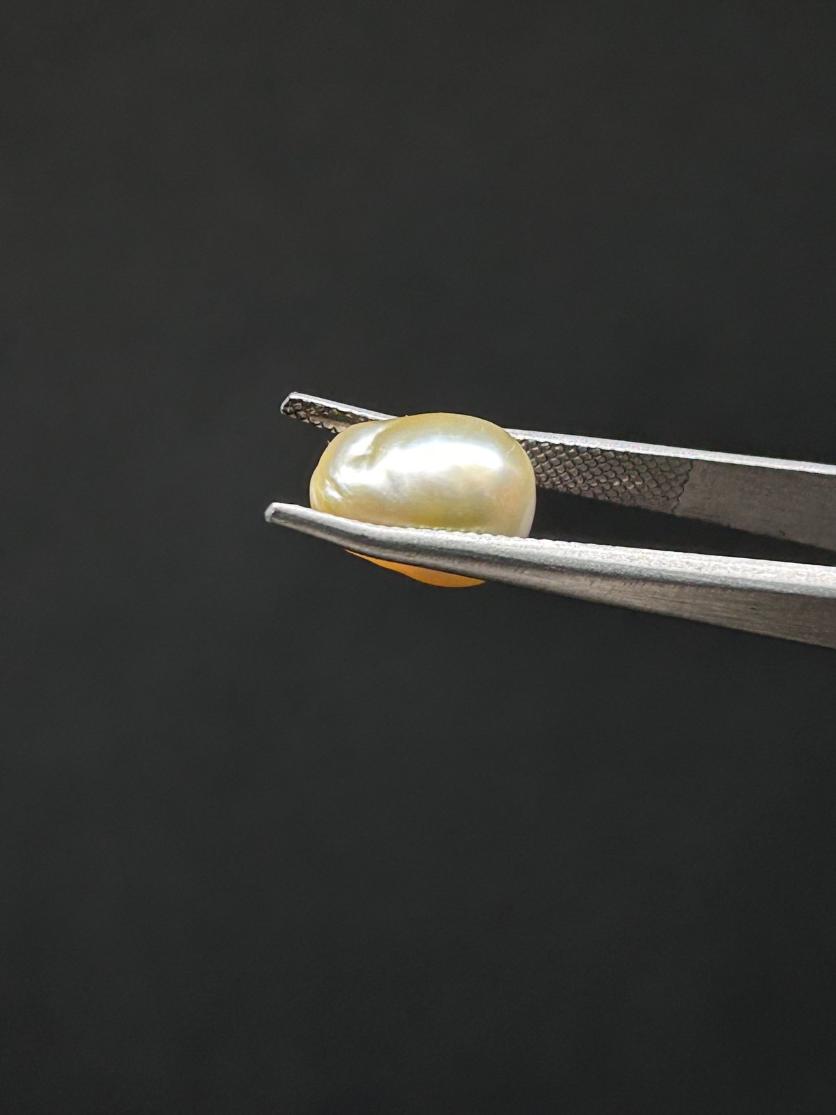 Natural Pearl - 7.31 Carats