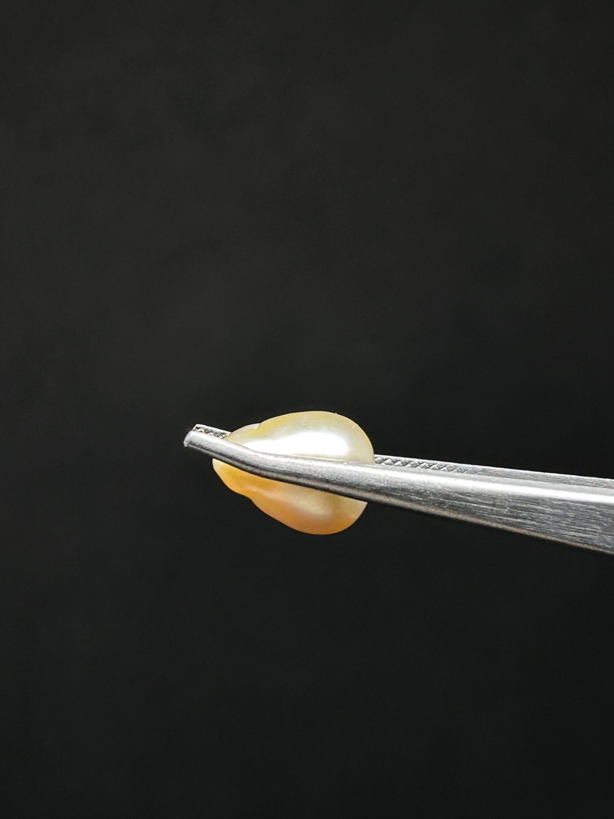 Natural Pearl - 7.31 Carats