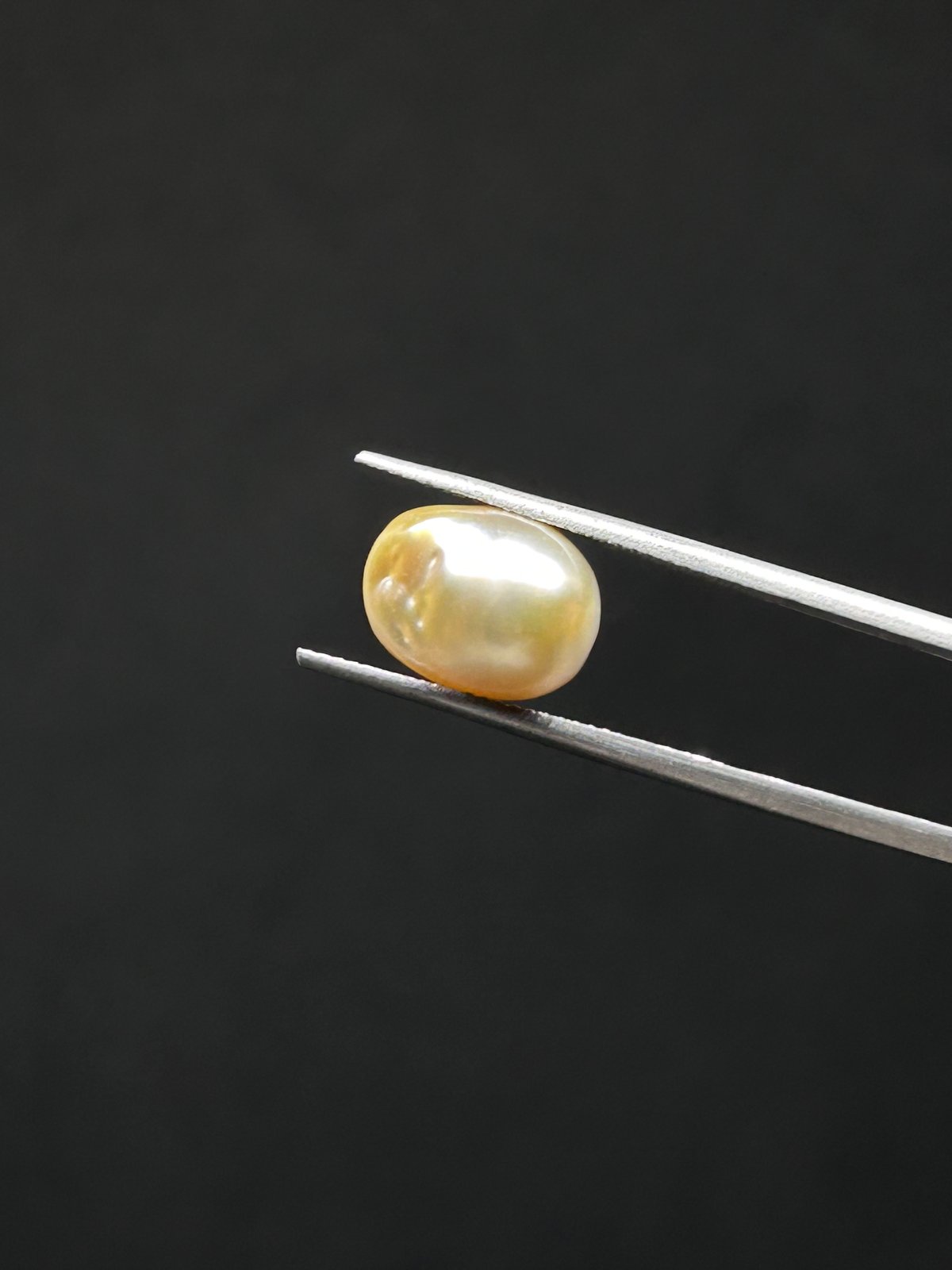 Natural Pearl - 7.31 Carats