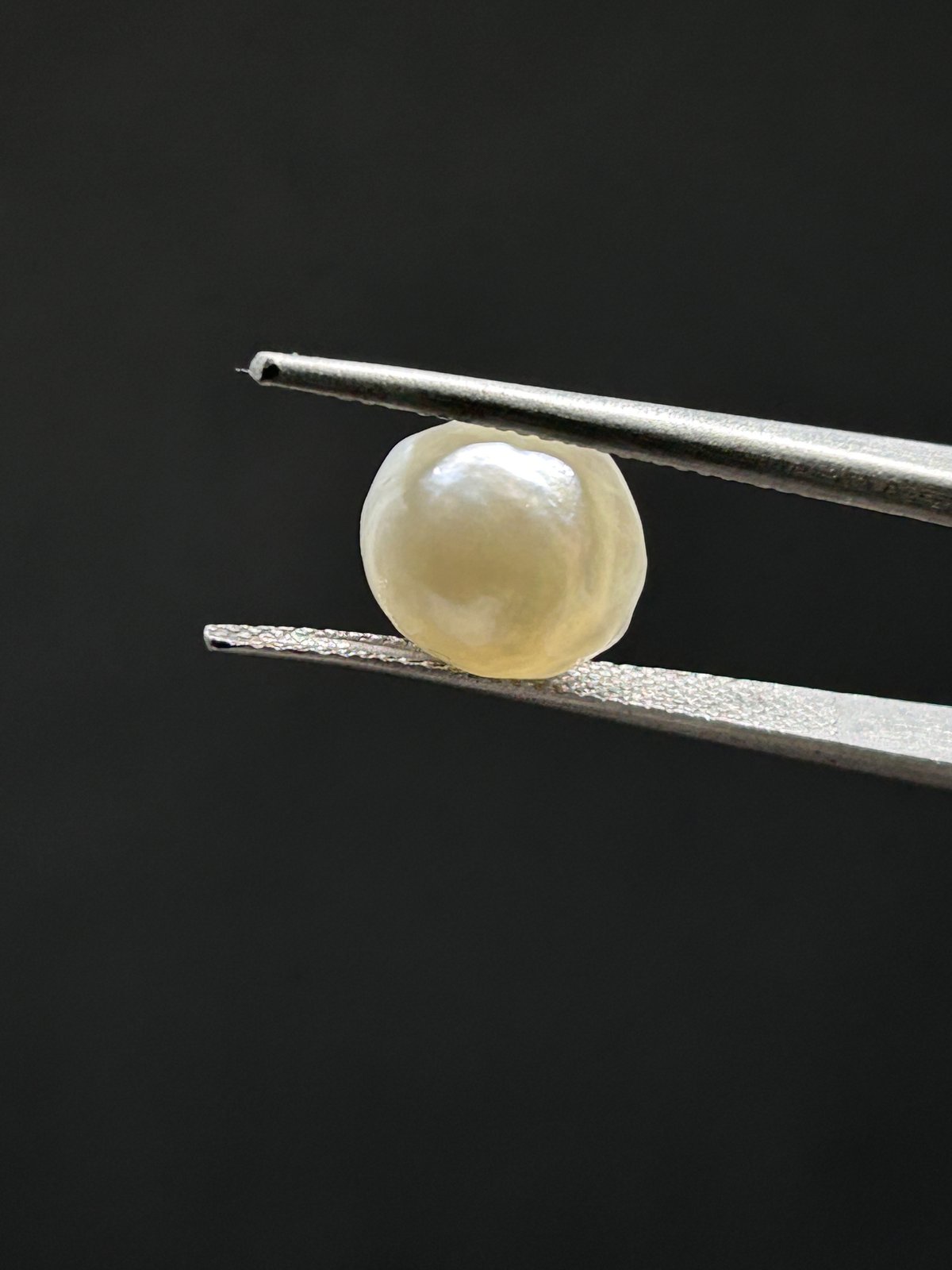 Natural Pearl - 5.975 Carats (South Sea)