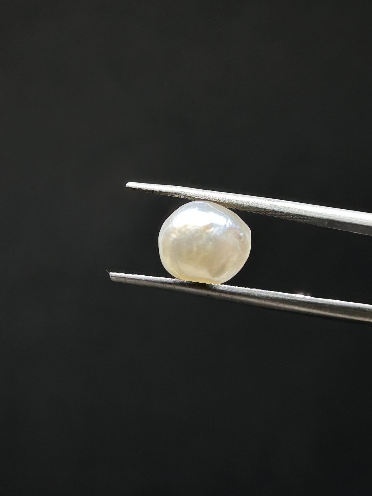Natural Pearl - 5.975 Carats (South Sea)