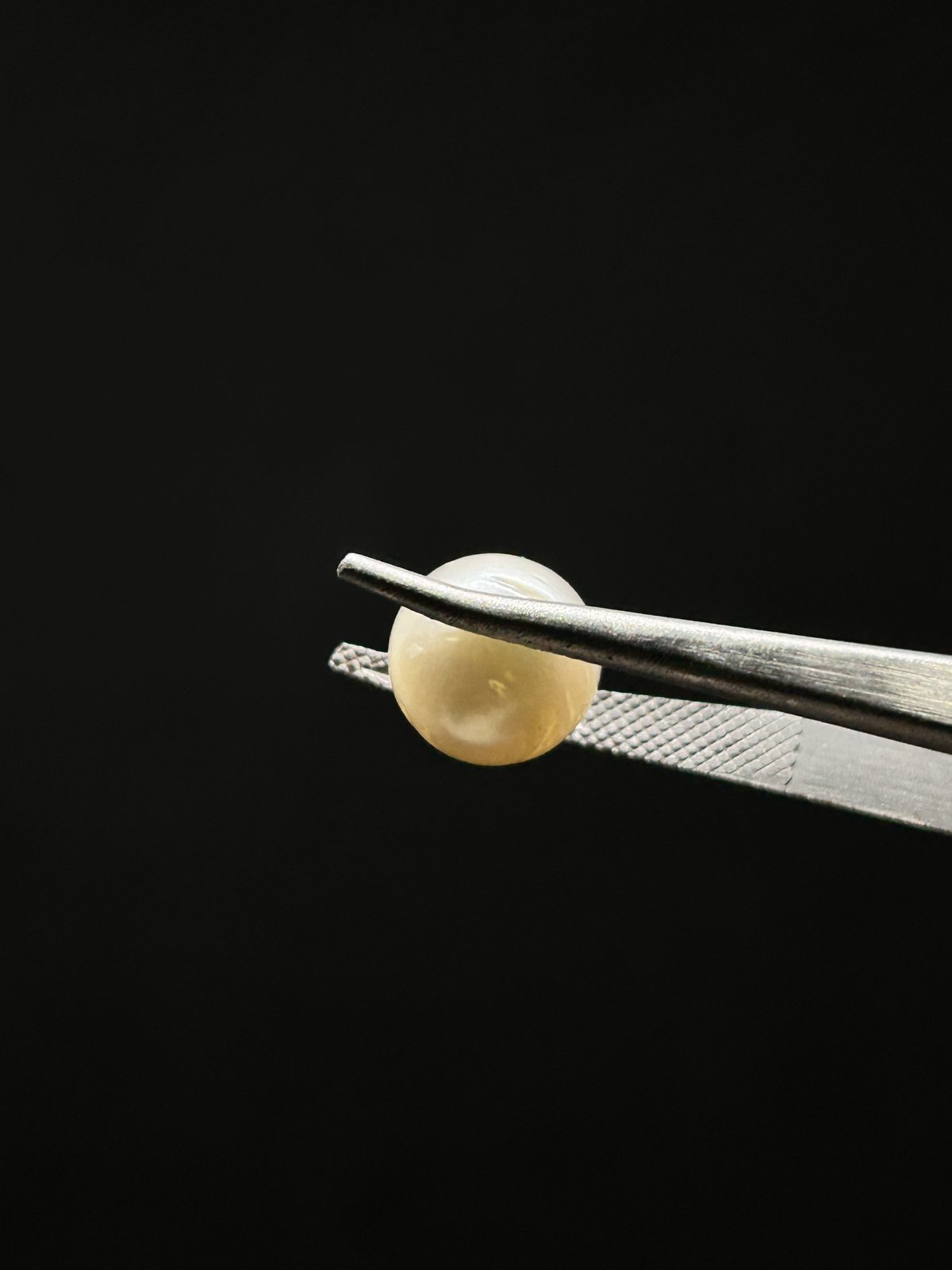 Natural Pearl - 7.175 Carats (South Sea)